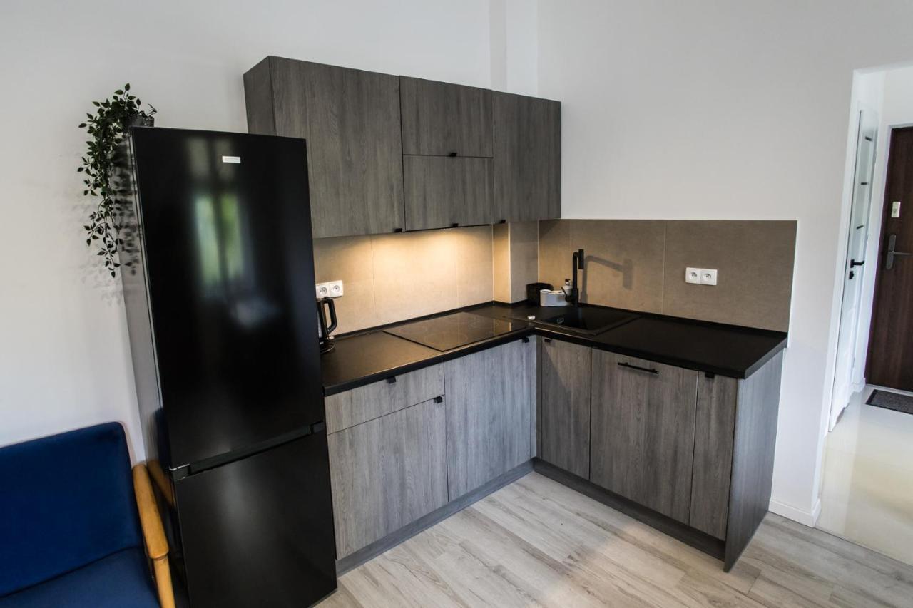 Apartament Kochanowskiego Stary Toruń 外观 照片